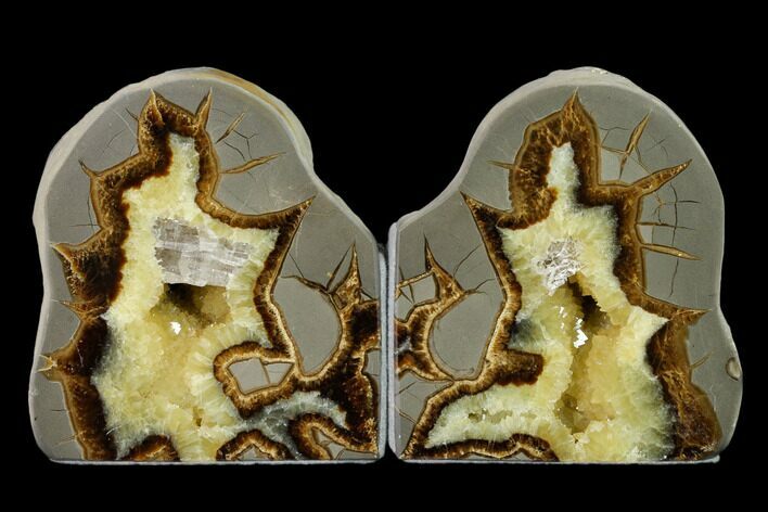 Tall, Crystal Filled Septarian Geode Bookends - Utah #149947